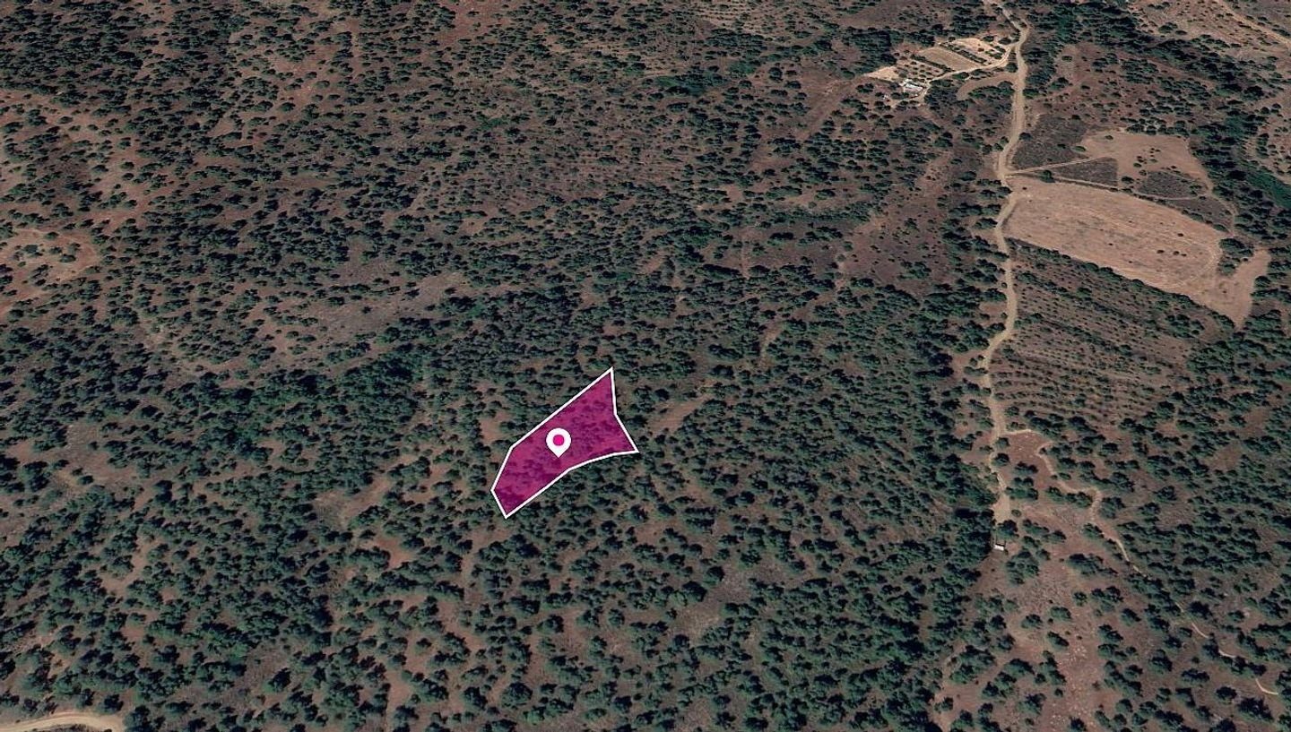 Field in Theodoro Soleas, Nicosia photo 2
