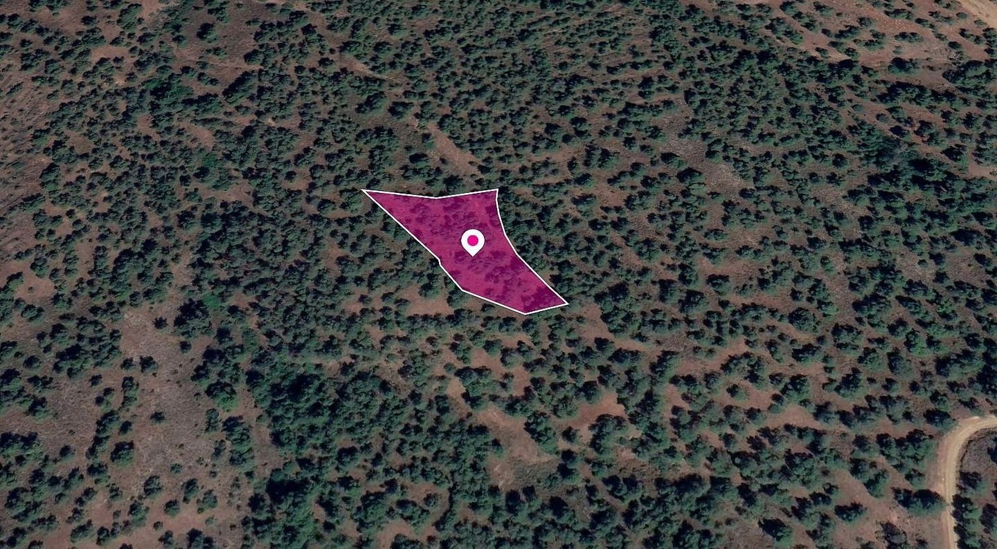 Field in Theodoro Soleas, Nicosia photo 1