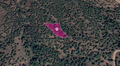 Field in Theodoro Soleas, Nicosia thumbnail 1