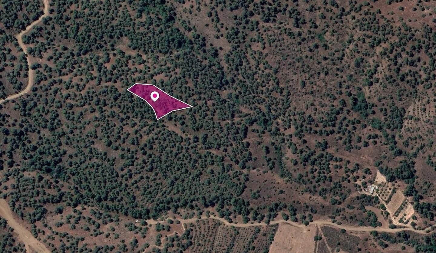 Field in Theodoro Soleas, Nicosia photo 3