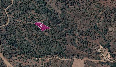 Field in Theodoro Soleas, Nicosia thumbnail 3