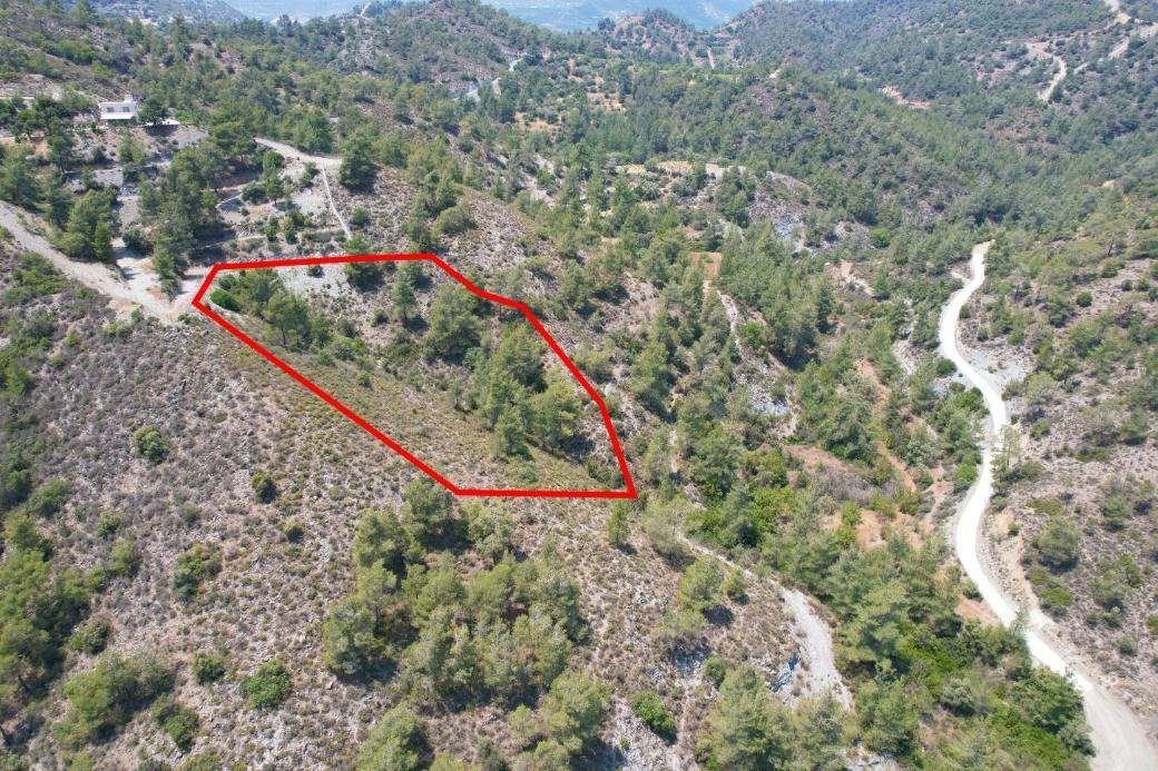 Agricultural field in Gerasa, Limassol photo 2