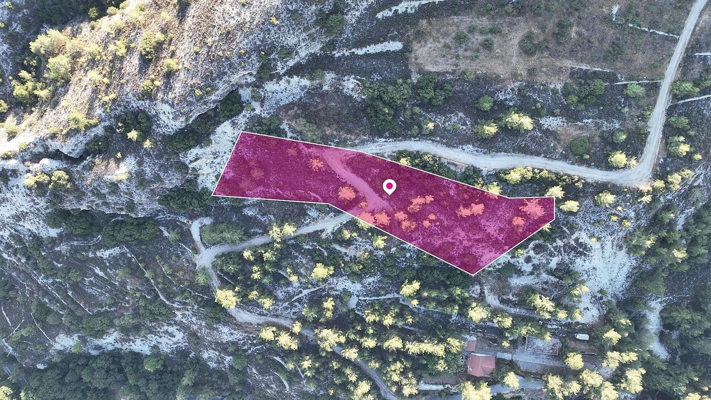 Residential Field in Pera Pedi, Limassol photo 4