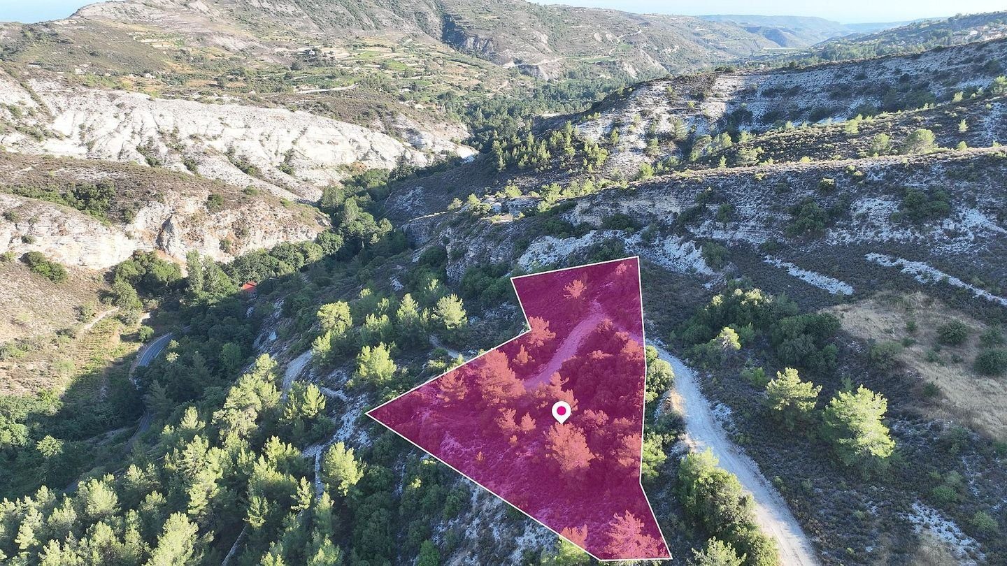 Residential Field in Pera Pedi, Limassol photo 3