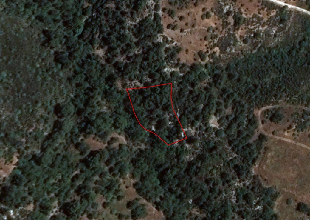 Field in Dora, Limassol photo 1