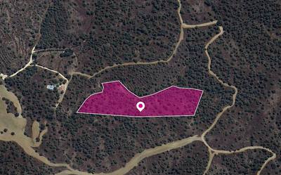 (Share) Agricultural field in Evrychou, Nicosia thumbnail 3