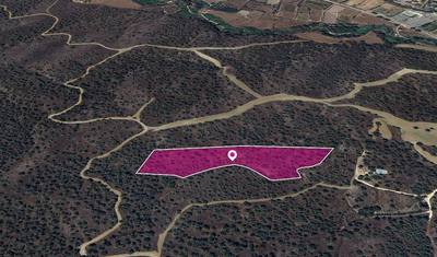 (Share) Agricultural field in Evrychou, Nicosia thumbnail 2