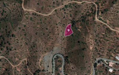 Residential field, Gourri thumbnail 1
