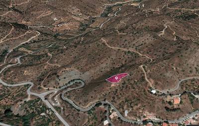 Residential field, Gourri thumbnail 4