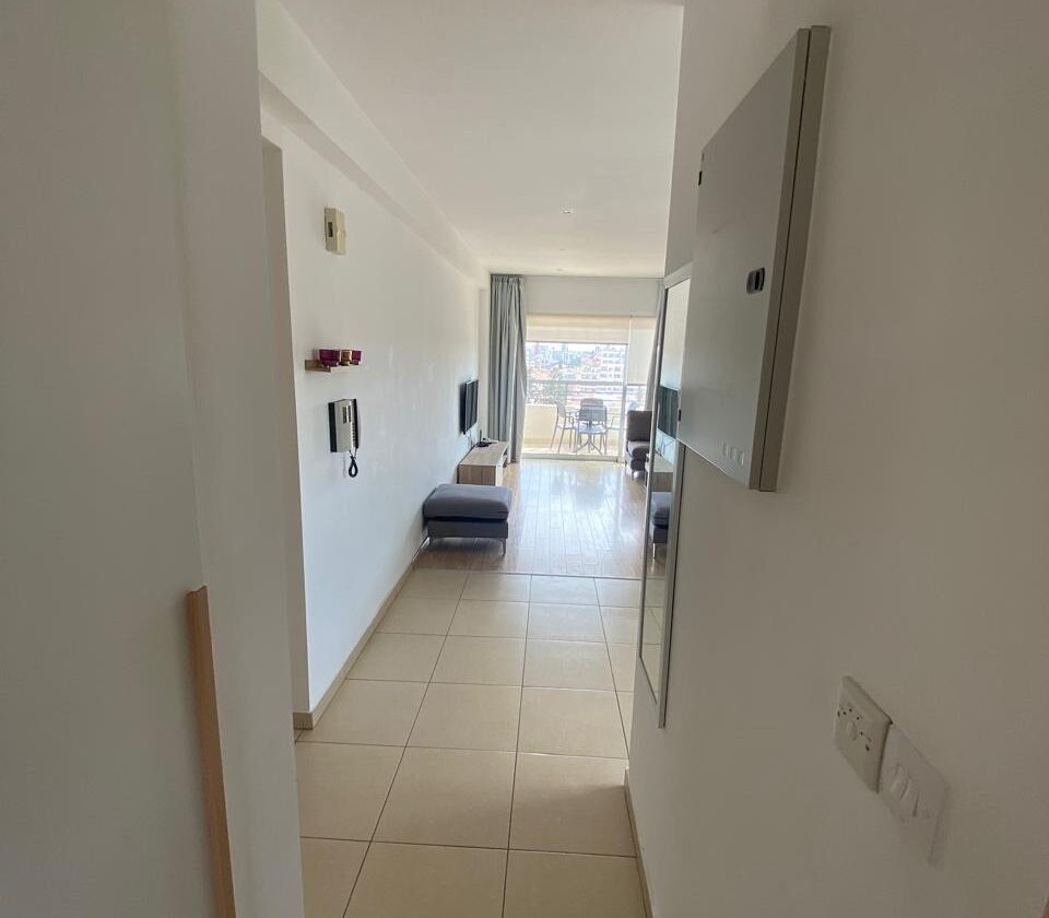 2 BR Apartment in Agia Triada, Limassol — photo 8