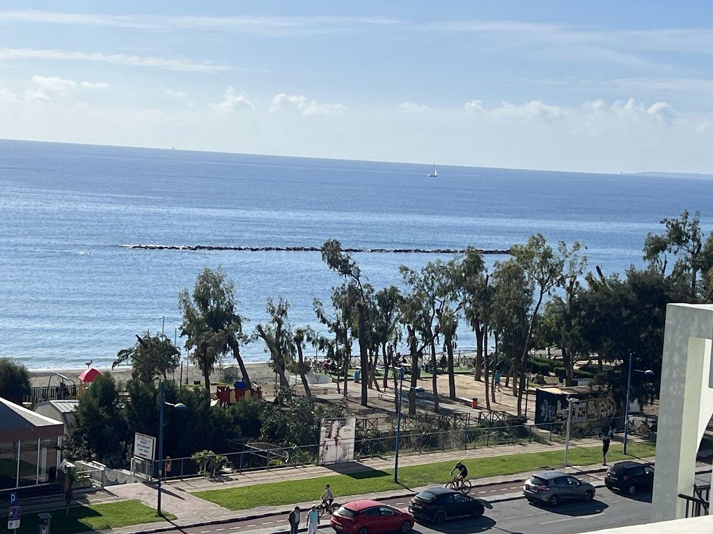 4 BR Apartment in Agios Tychonas, Limassol photo 17