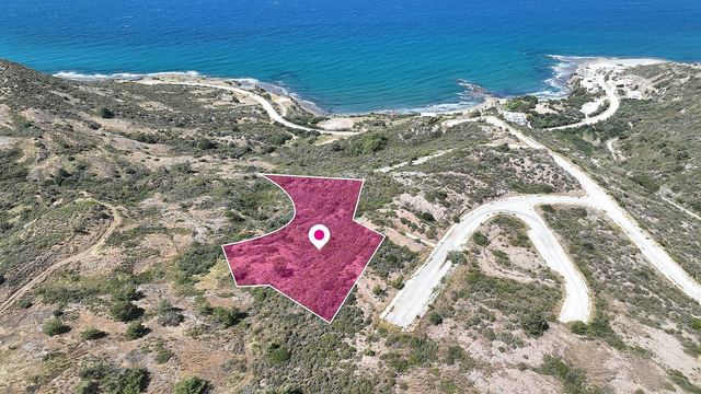 Field in Pigenia, Nicosia