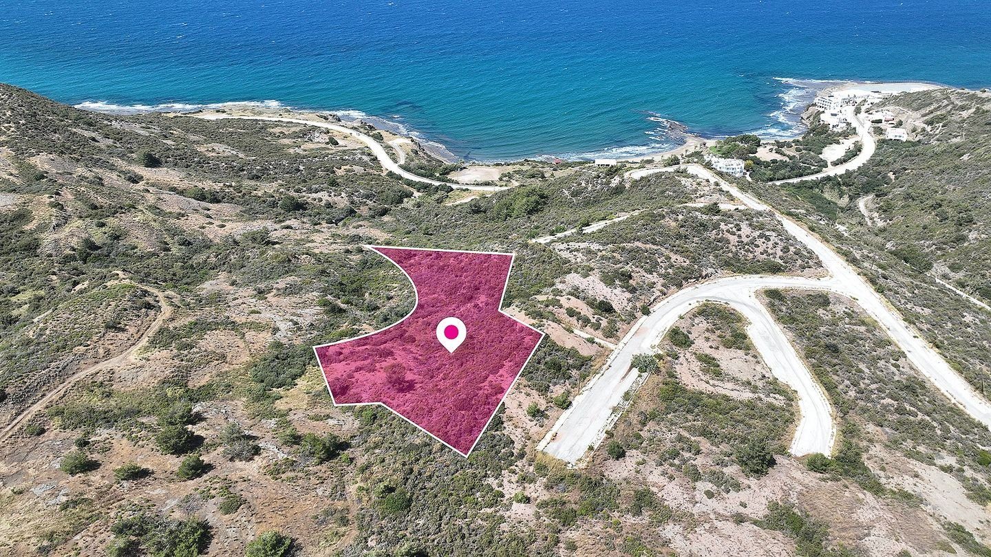 Field in Pigenia, Nicosia