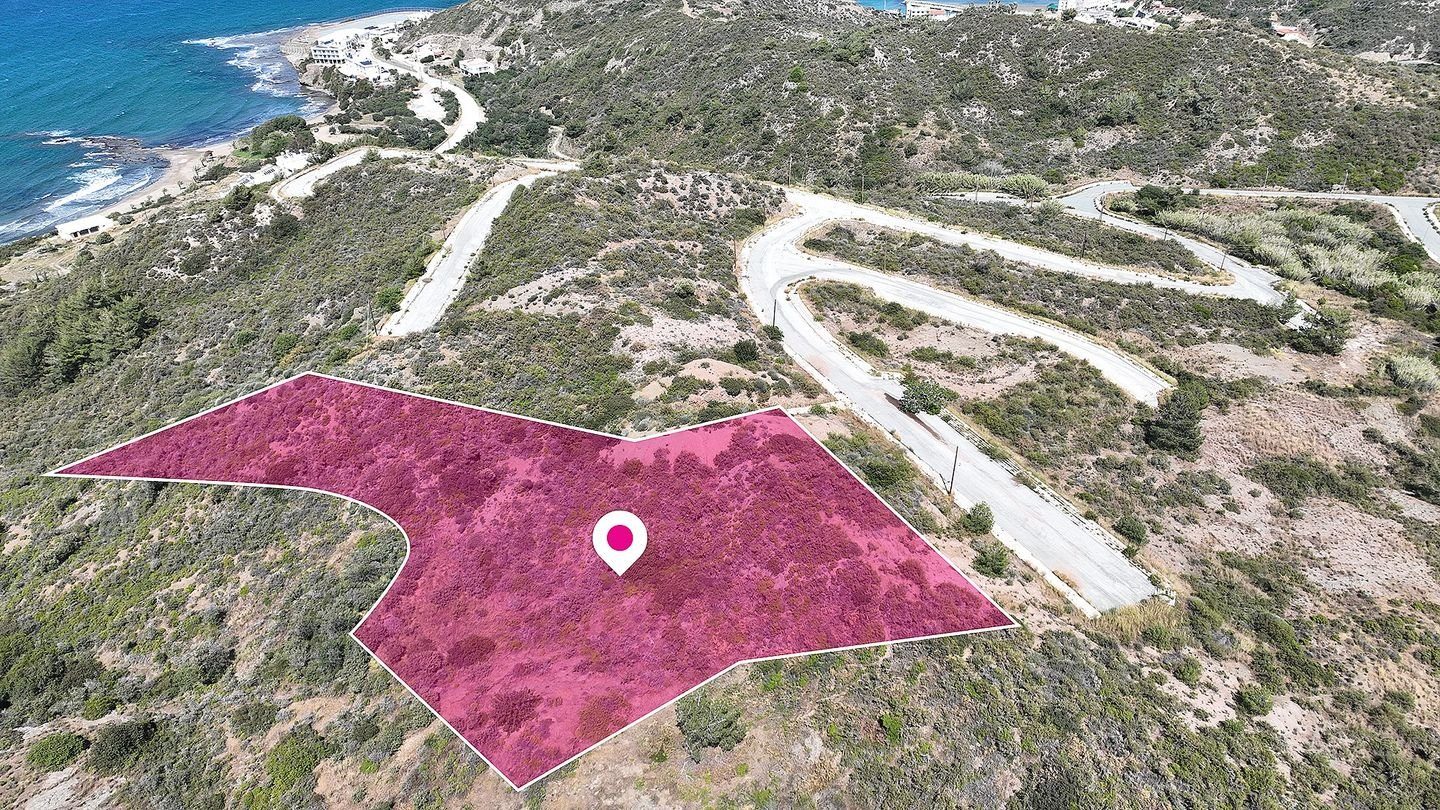 Field in Pigenia, Nicosia — photo 4