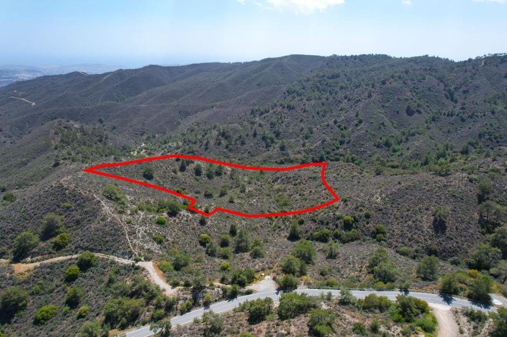 Shared field in Sanida, Limassol photo 1