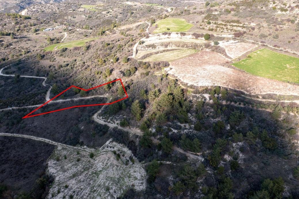 Field in Dora, Limassol photo 3
