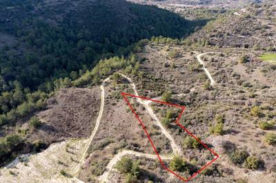 Field in Dora, Limassol thumbnail 1