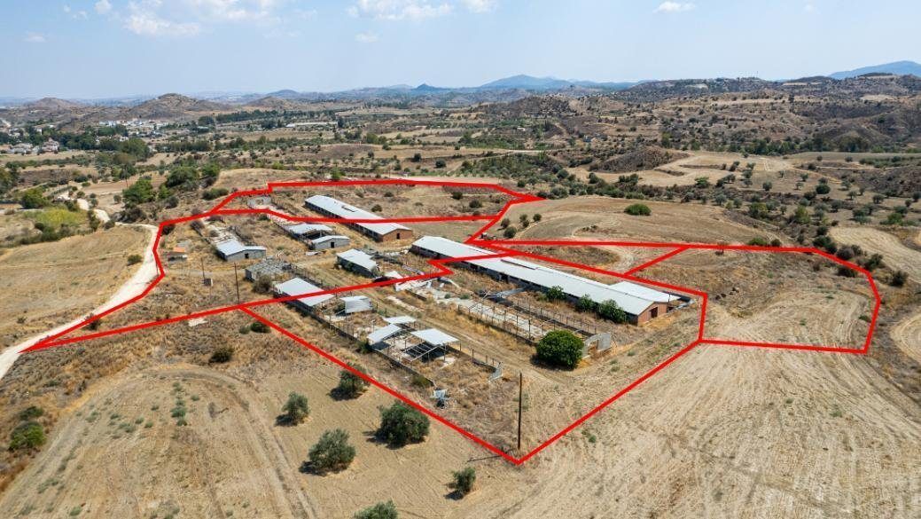 Agricultural fields and a farm in Analiontas, Nicosia photo 4