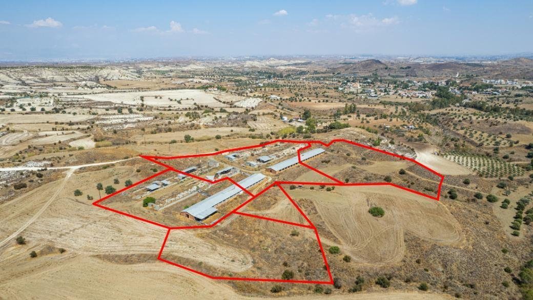 Agricultural fields and a farm in Analiontas, Nicosia photo 1