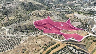 Two adjacent Agricultural Fields in Pera, Nicosia thumbnail 3