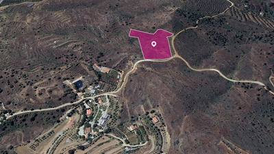 (Share) Live stock field in Kalo Chorio Oreinis, Nicosia thumbnail 1