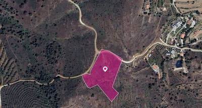 (Share) Live stock field in Kalo Chorio Oreinis, Nicosia thumbnail 3