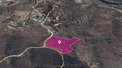 (Share) Live stock field in Kalo Chorio Oreinis, Nicosia thumbnail 2