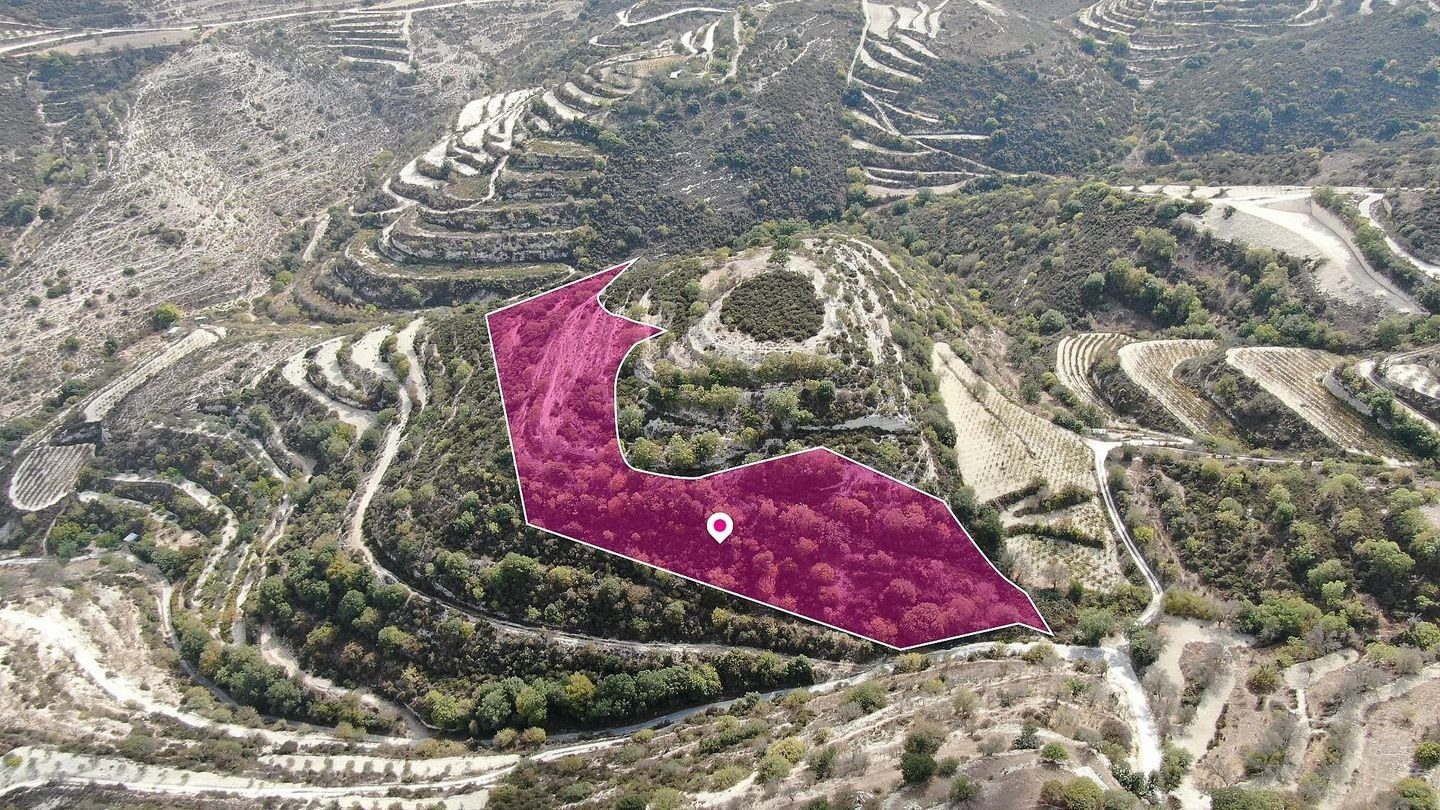Agricultural field, Koili, Paphos photo 4