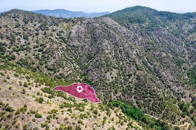 Field, Agios Theodoros, Limassol thumbnail 3