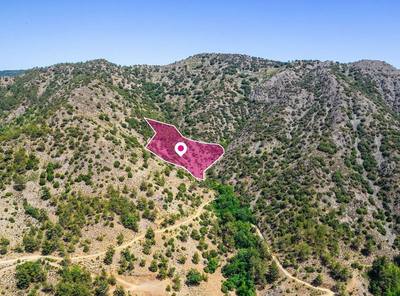 Field, Agios Theodoros, Limassol thumbnail 1