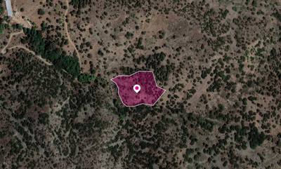 Field, Agios Theodoros, Limassol thumbnail 2