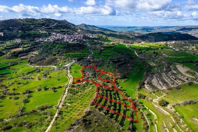 Residential fields in Dora, Limassol thumbnail 3