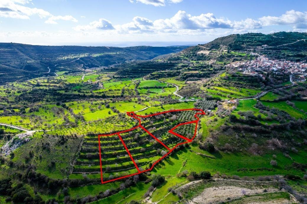Residential fields in Dora, Limassol photo 1