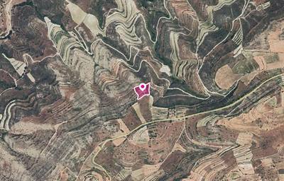 Agricultural Field, Pachna, Limassol thumbnail 4