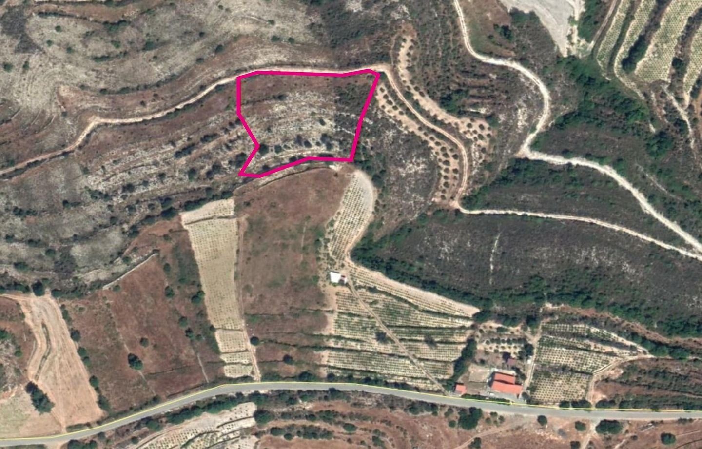 Agricultural Field, Pachna, Limassol photo 5
