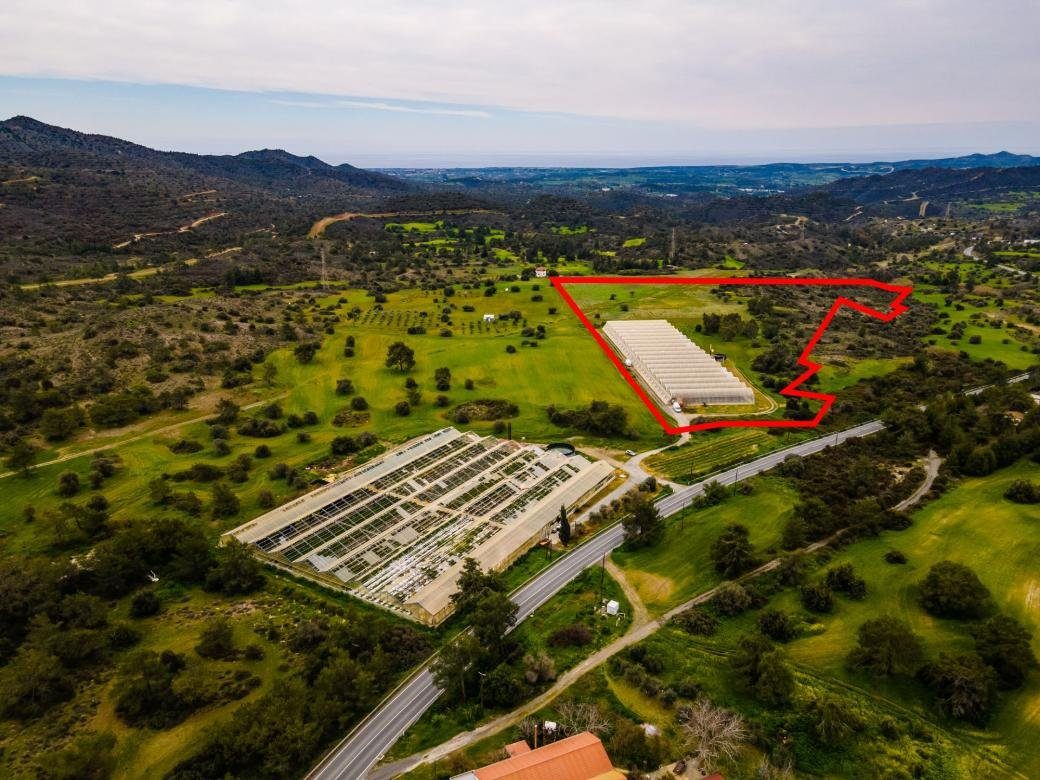 Field in Kornos, Larnaca photo 6