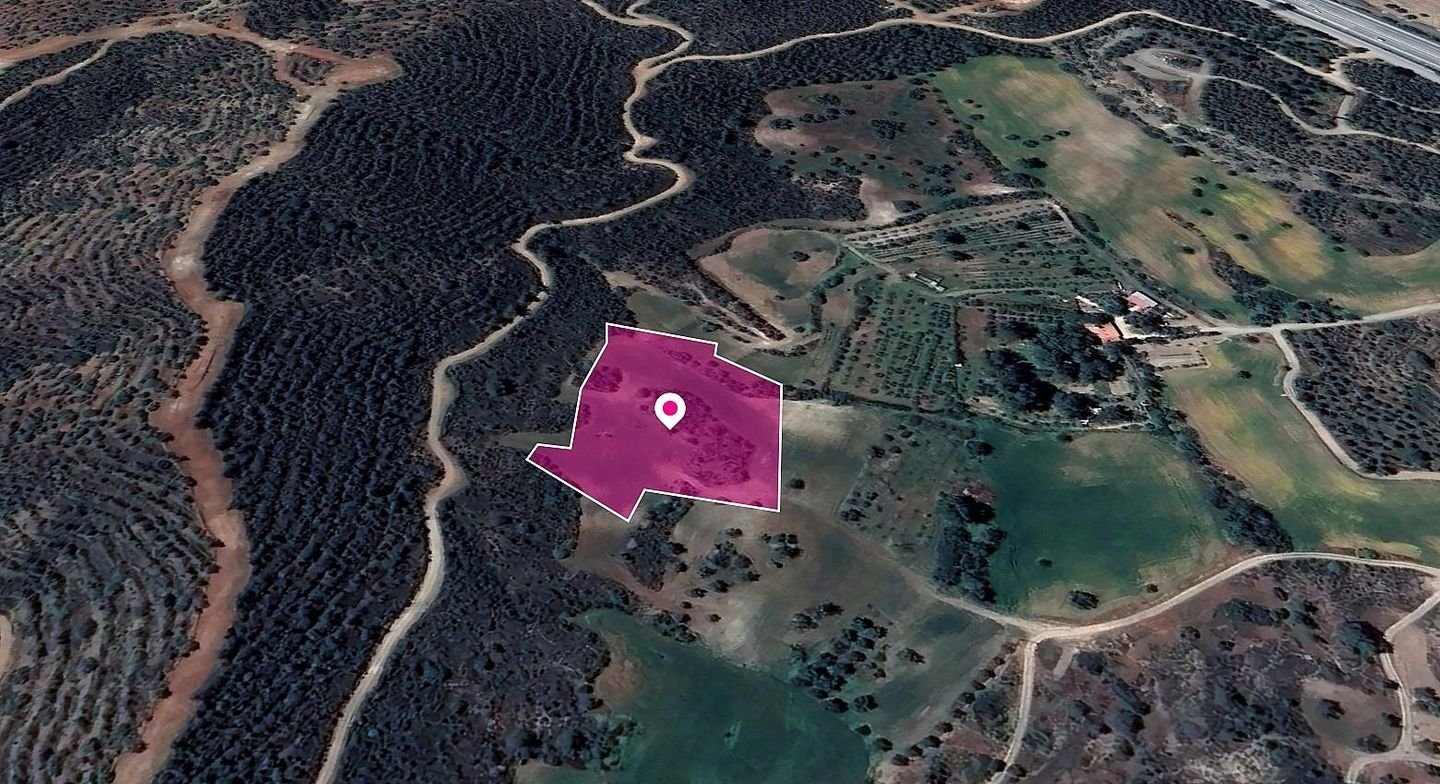 Field in Kofinou, Larnaka photo 2