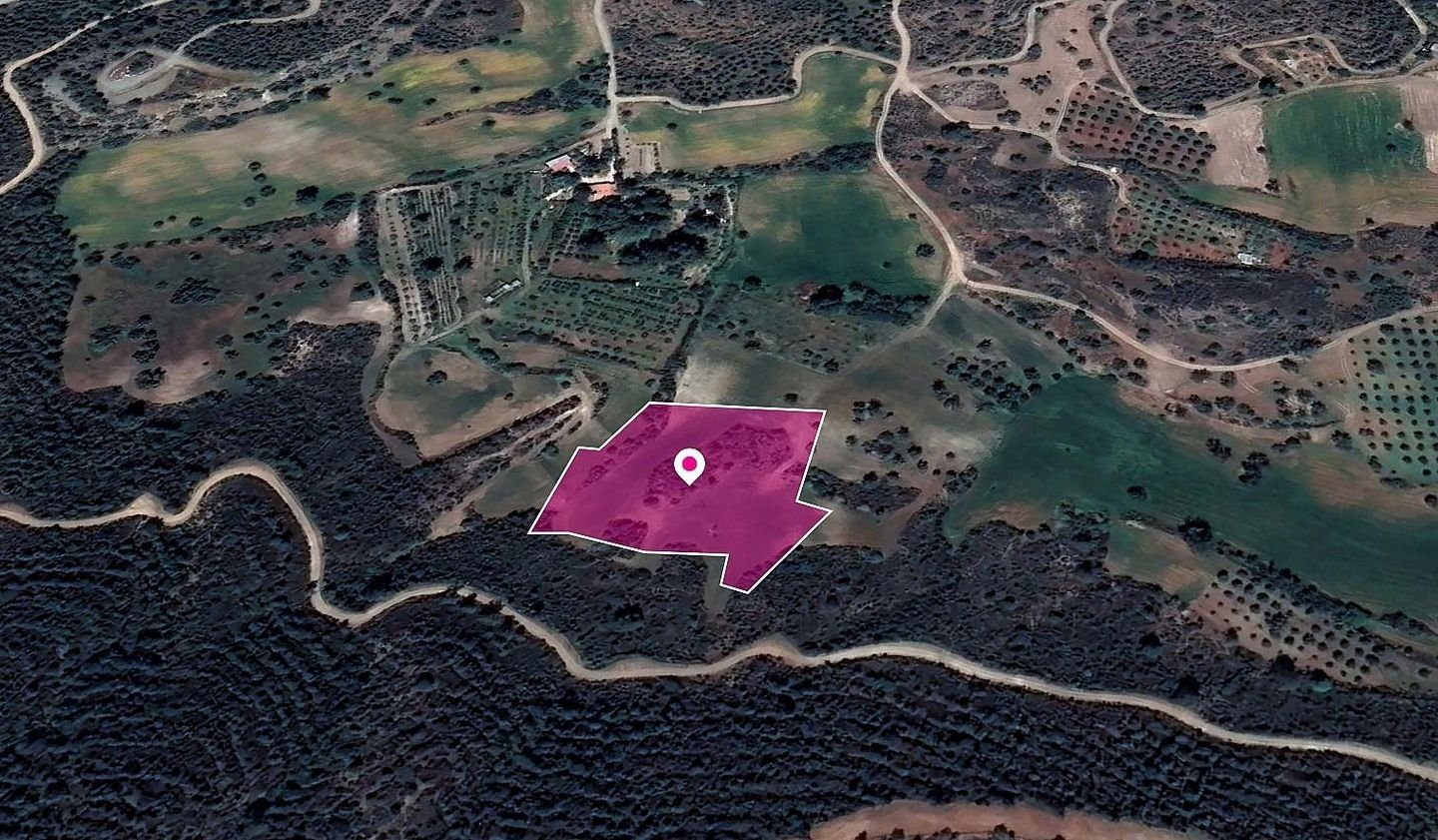 Field in Kofinou, Larnaka photo 1