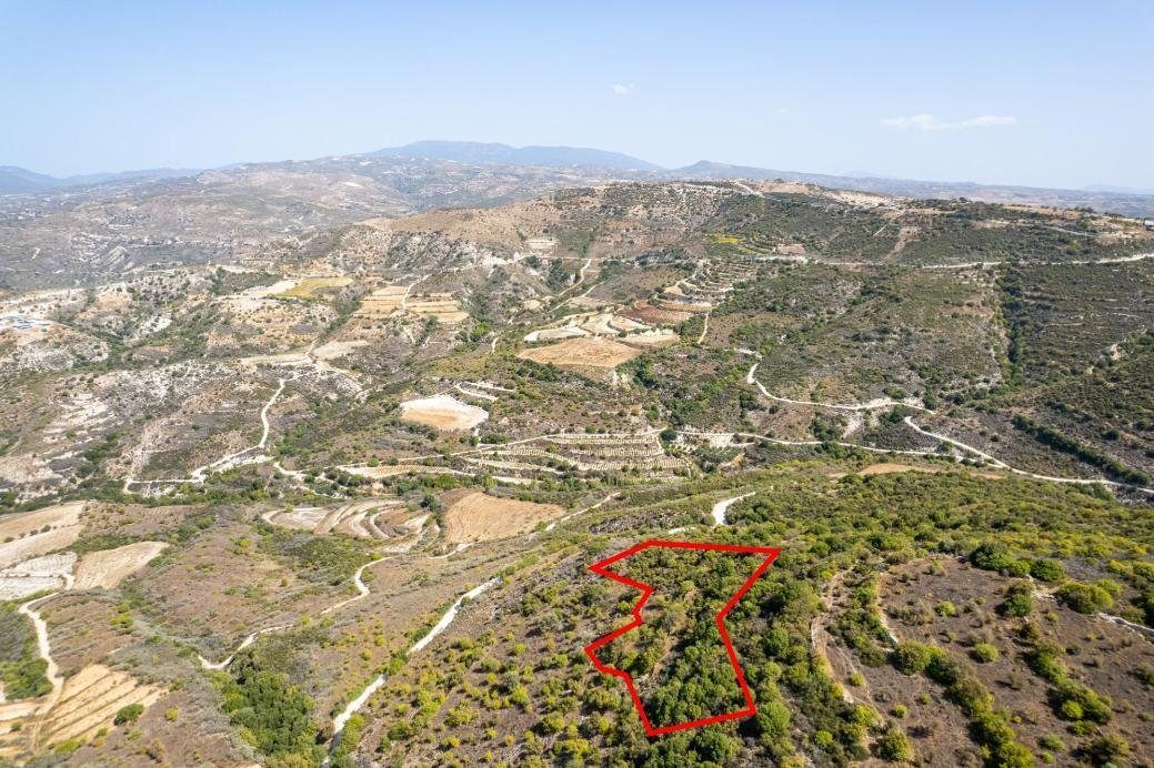 Field in Dora, Limassol photo 3