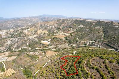 Field in Dora, Limassol thumbnail 3