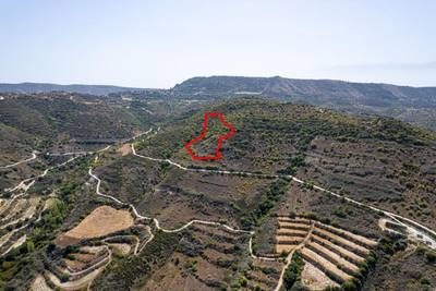 Field in Dora, Limassol thumbnail 2