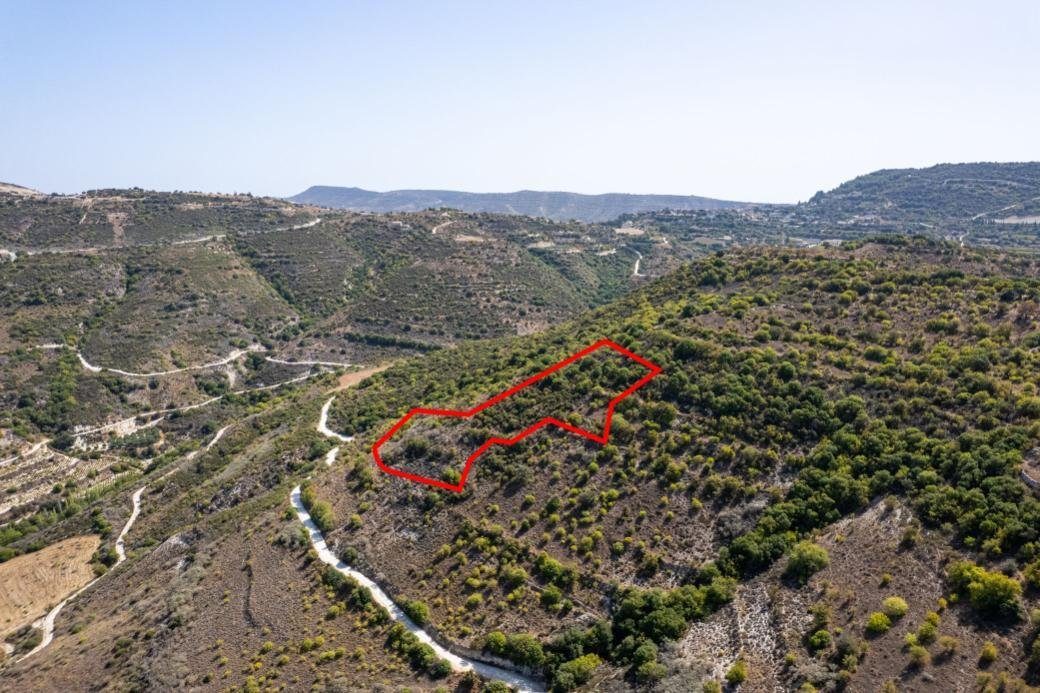 Field in Dora, Limassol photo 1