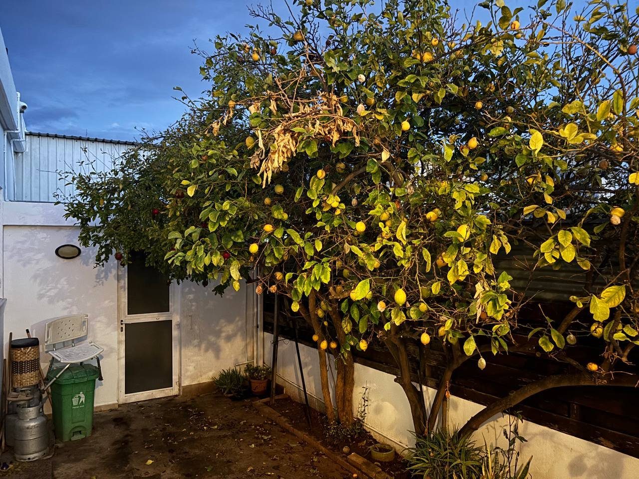 2 BR House in Agia Fyla, Limassol photo 18