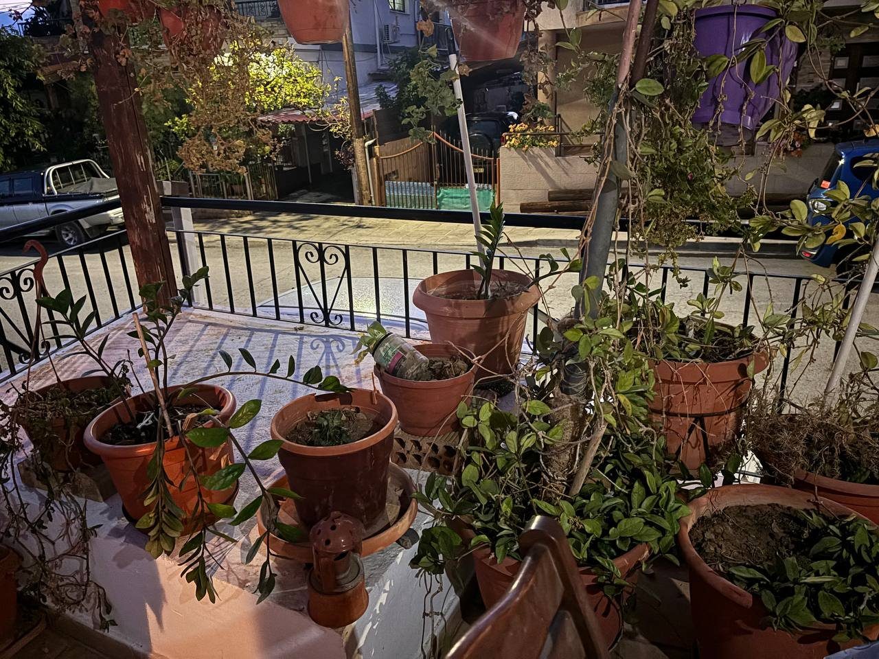 2 BR House in Agia Fyla, Limassol photo 19