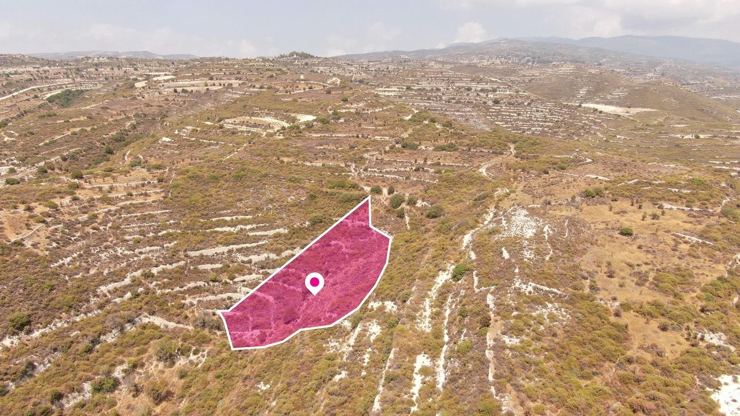 (Share) Agricultural field in Vouni, Limassol photo 4