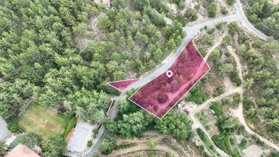 (Share) Two Residential Fields in Kato Platres, Limassol thumbnail 1