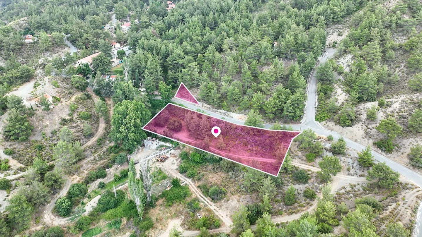 (Share) Two Residential Fields in Kato Platres, Limassol photo 3