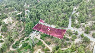 (Share) Two Residential Fields in Kato Platres, Limassol thumbnail 3