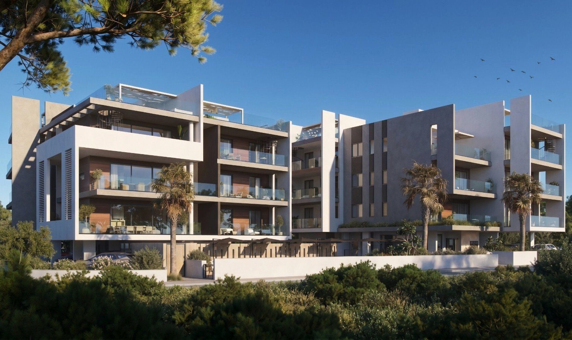 1 BR Apartment in Apostolos Loukas, Larnaca photo 4