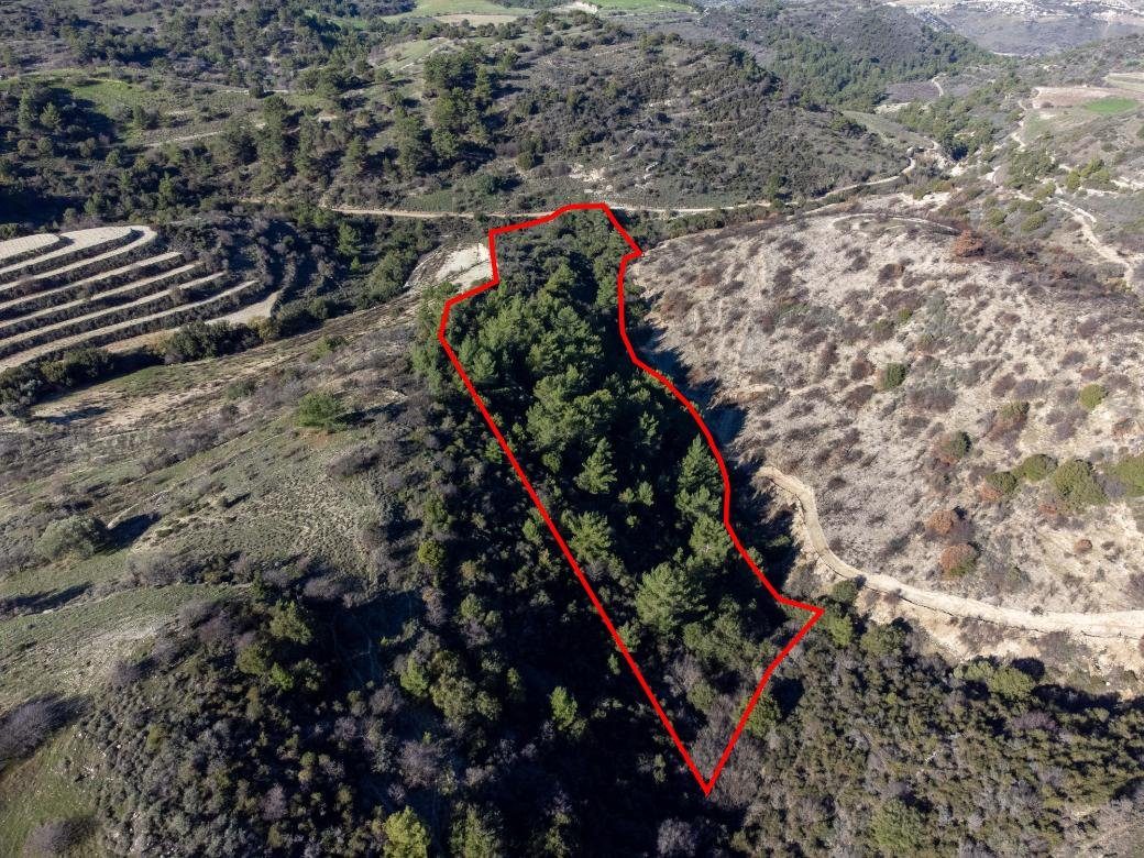 Field in Mousere, Paphos photo 2